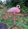 21_flamingo