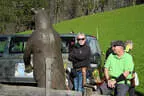5. Schörhofturnier Bild 9