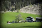 5. Schörhofturnier Bild 17