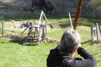 5. Schörhofturnier Bild 20