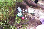 Parcoursumbau Sommer 2025 Bild 10