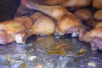 Parcoursumbau Sommer 2025 Bild 26