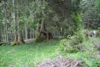 19. Glemmerehofturnier Bild 62