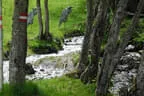 30. Sonnblickturnier Rauris Bild 21