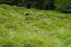 30. Sonnblickturnier Rauris Bild 27