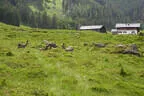 30. Sonnblickturnier Rauris Bild 28
