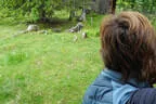 30. Sonnblickturnier Rauris Bild 32