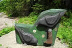 30. Sonnblickturnier Rauris Bild 50