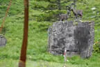 30. Sonnblickturnier Rauris Bild 56