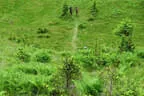 30. Sonnblickturnier Rauris Bild 58