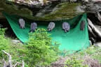 30. Sonnblickturnier Rauris Bild 69