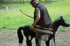 30. Sonnblickturnier Rauris Bild 74