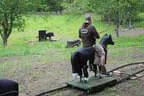 30. Sonnblickturnier Rauris Bild 73