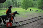 30. Sonnblickturnier Rauris Bild 76