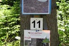 2025 Ausflug TBSC Trofaiach Bild 10