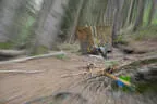 2025 Ausflug Killerbienen Bild 10