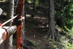 2025 Ausflug Killerbienen Bild 11