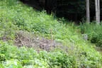 2025 Ausflug Killerbienen Bild 6