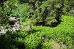 2025 Ausflug Planneralm Bild 12