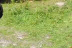 27. Scharnitzer Speckschiessen 2025 Bild 70