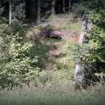 5erl-BSV-Avalon-2025 5erl-BSV-Avalon-2025