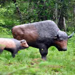 Parcours-wurde-umgebaut